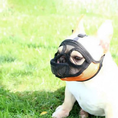 Muselière chien | Hannibal Lecter- couleur ORANGE- Modèle B-Bouledogue-2