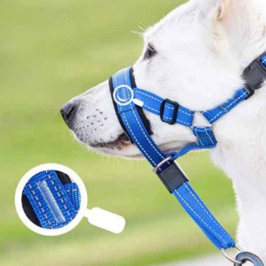 Muselière chien | Le Licol - Jamais sans mon chien