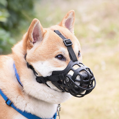 Muselière chien | La 4e Génération-Shiba Inu
