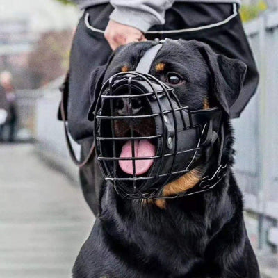 Muselière chien | La Cage Métal_Rottweiler