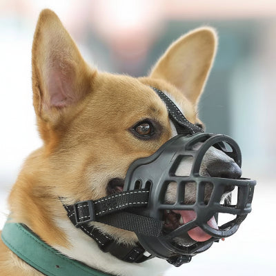 Muselière chien | Silicone-Corgi