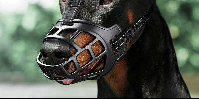 Museliere-chien | Silicone - Collection