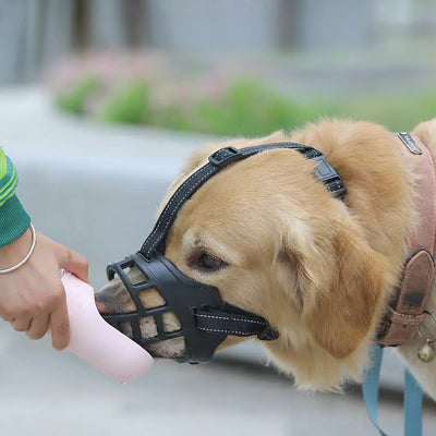 Muselière chien | Silicone-Golden qui boit