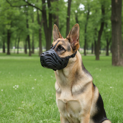 Muselière pour Chien | Type Lupoïde- Berger Allemand-2