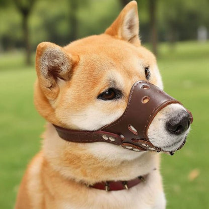 Muselière Chien | Le Nez Sécure - Jamais sans mon chien