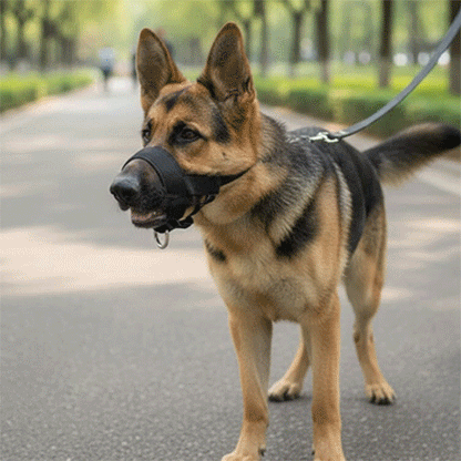 Museliere pour Chien | Licol Xtreme