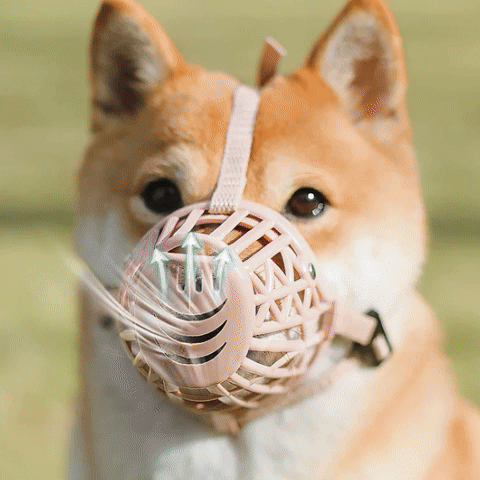 Muselière pour chien | Le Cornet