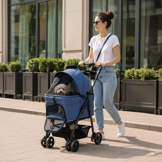 Poussette pour Chien | Confort Plus-Bleu-Jeune femme et Caniche