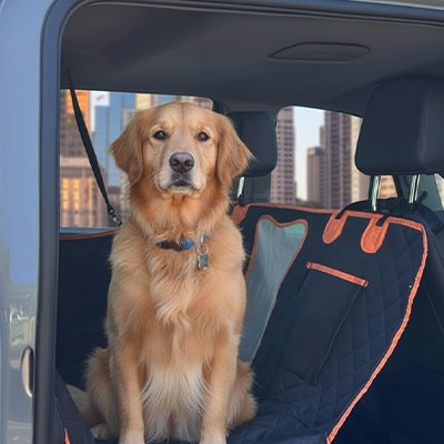 Protection chien voiture | Imperméable Matelassée à Fenêtre- Golden 