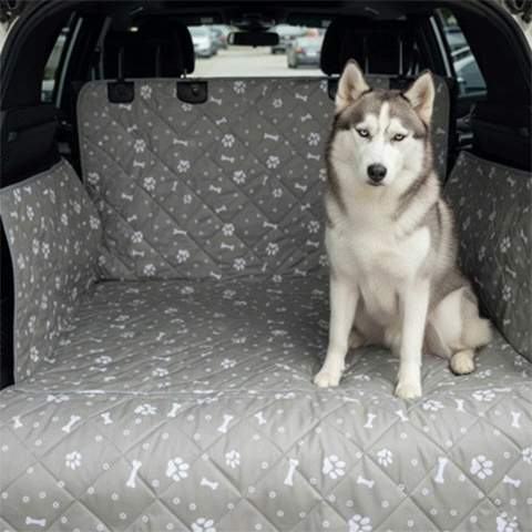 Protection chien voiture | Imperméable Matelassée