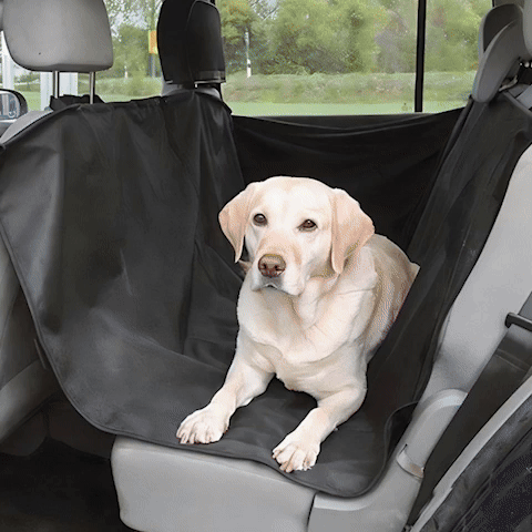 Protection voiture chien | Le Hamac