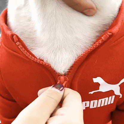 Pull Chien | Le Sportif