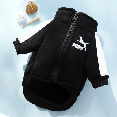 Pull Chien | Le Sportif-couleur NOIR