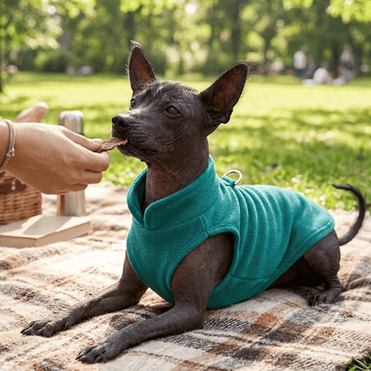 Pull pour Chien | Doux Polaire-2