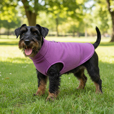 Pull pour Chien | Doux Polaire- couleur VIOLET