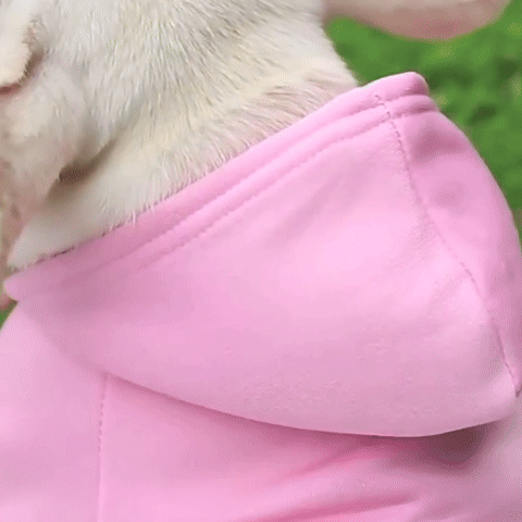 Pull pour Chien | Le Cotton Ouaté