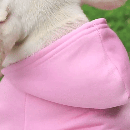 Pull pour Chien | Le Cotton Ouaté