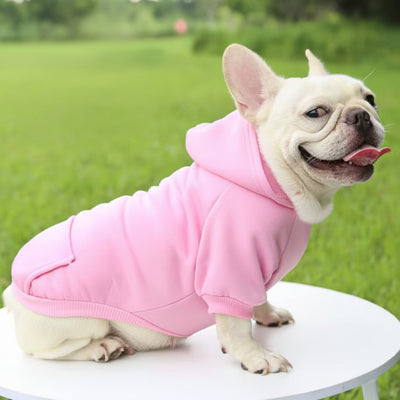 Pull pour Chien | Le Cotton Ouaté- Rose- Bouledogue