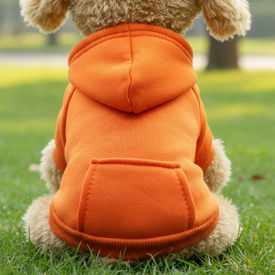 Pull pour Chien | Le Cotton Ouaté- couleur ORANGE