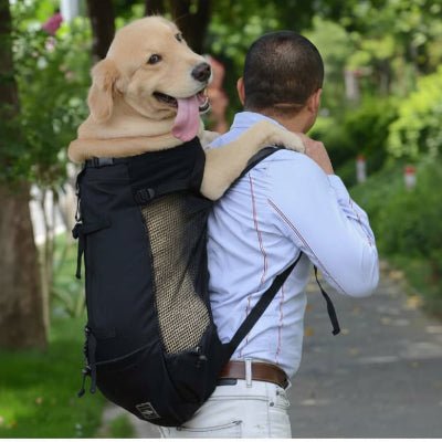 Sac à dos pour Chien | Partout - Jamais sans mon chien