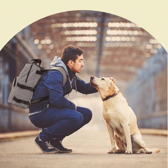 Sac de voyage pour chien | Le Multi-Pack- en Back Pack