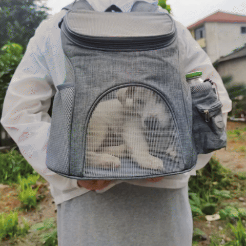 Sac à dos pour chien | Les Tout Petits 2