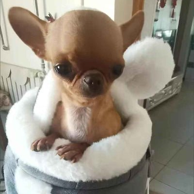 Sac de transport chien | TinyBunny - Jamais sans mon chien