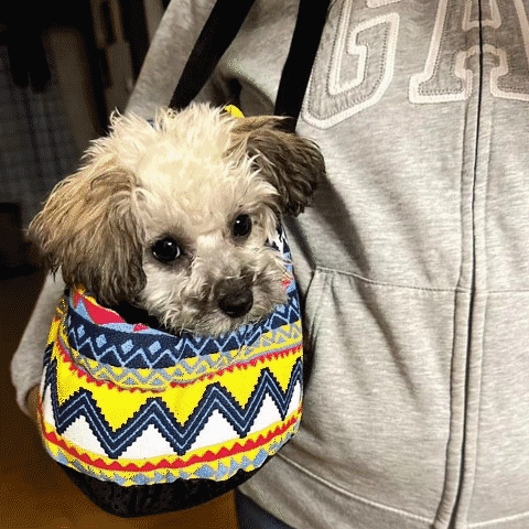 Sac de transport chien | Chico-GIF