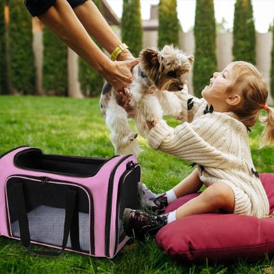 Sac de transport pour chien | Boxy - Jamais sans mon chien