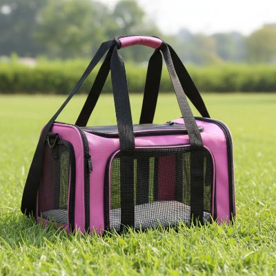 Sac de transport pour chien | Boxy - Jamais sans mon chien