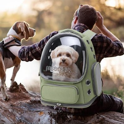 Sac transport Chien | Le Nomade - Jamais sans mon chien