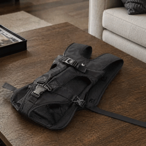Sac de transport pour Chien | Belly Pack - Jamais sans mon chien