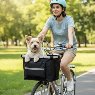 Vélo panier Chien | La BlackBox - Jamais sans mon chien