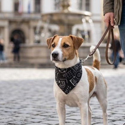 Bandana Chien | John Wayne - Jamais sans mon chien