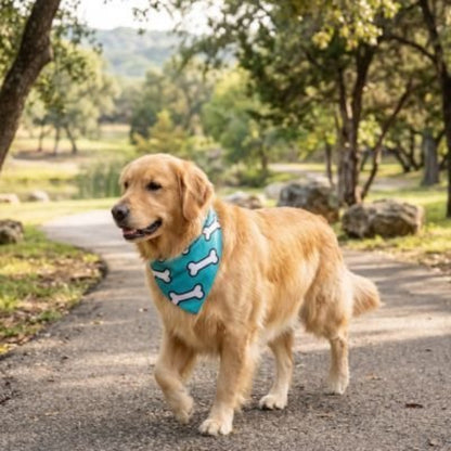 Bandana pour Chien | Charlie - Jamais sans mon chien