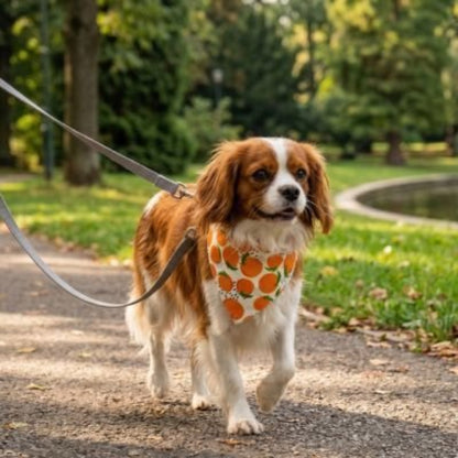 Bandana pour Chien | Charlot - Jamais sans mon chien