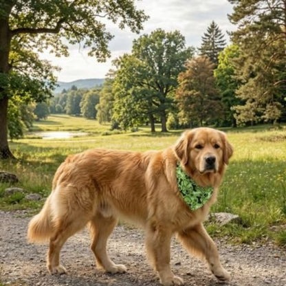 Bandana pour Chien | Charlot - Jamais sans mon chien