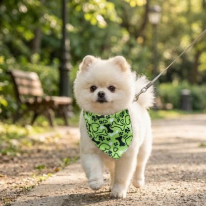 Bandana pour Chien | Charlot - Jamais sans mon chien