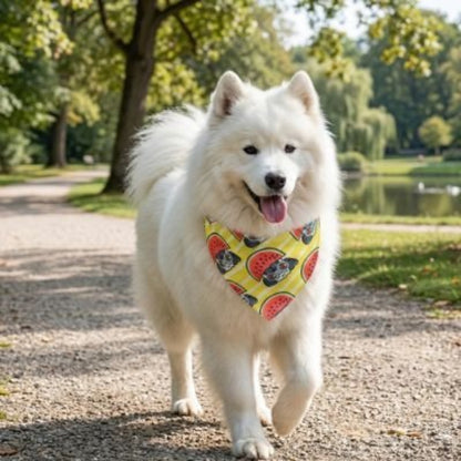 Bandana pour Chien | Charlotte - Jamais sans mon chien