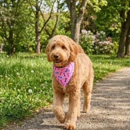 Bandana pour Chien | Charlotte - Jamais sans mon chien