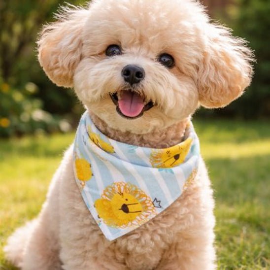 Bandana pour Chien | Le Petit Joey - Jamais sans mon chien