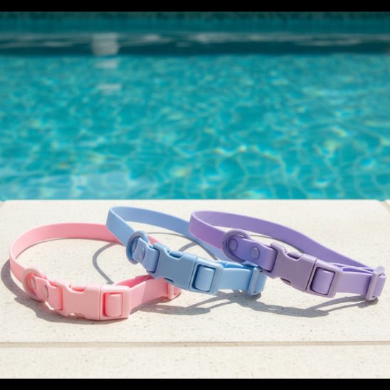 Collier chien | Aquarius - Jamais sans mon chien