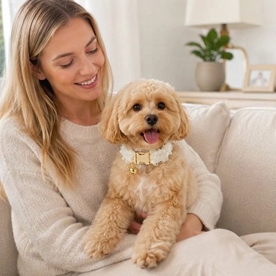 Collier Chien | Friselis_Blanc-Caniche2