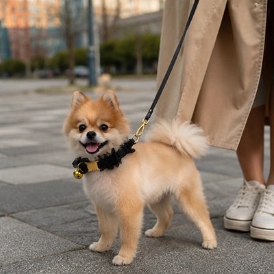 Collier Chien | Friselis_Noir-Pomeranien
