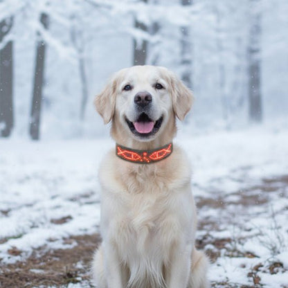 Collier lumineux chien | Message - Jamais sans mon chien