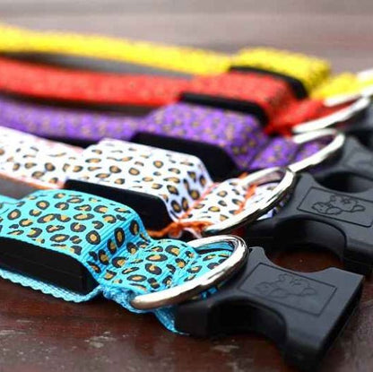 Collier lumineux pour Chien | Bright Night - Jamais sans mon chien