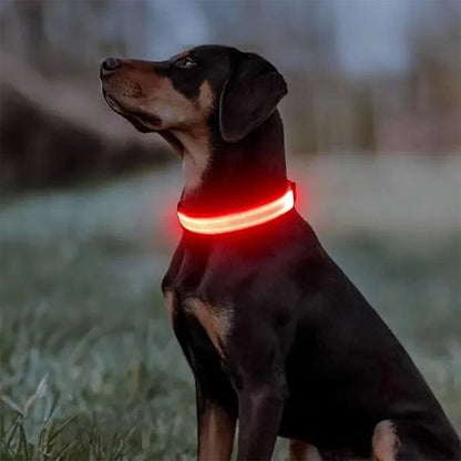 Collier lumineux pour chien | Saturne - Jamais sans mon chien