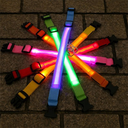 Collier lumineux pour chien | Saturne - Jamais sans mon chien