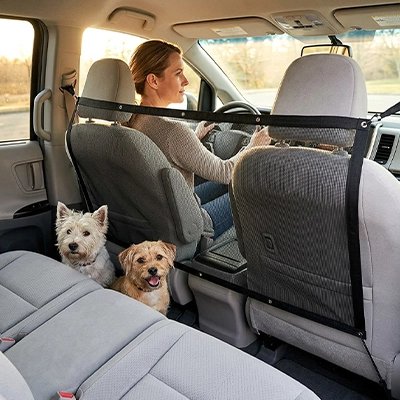 Filet chien voiture | Sécurité Maximale  - Deux terriers