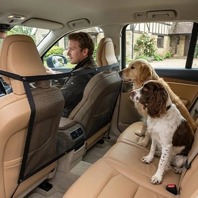 Filet chien voiture | Sécurité Maximale  - Epagneul et Golden